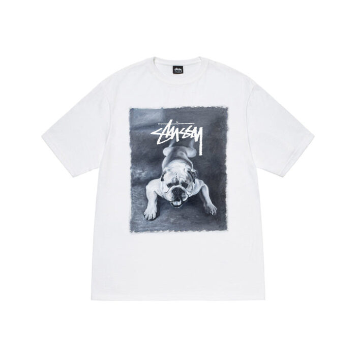 stussy white t-shirt