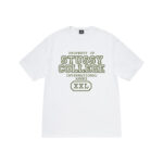 stussy white t-shirt