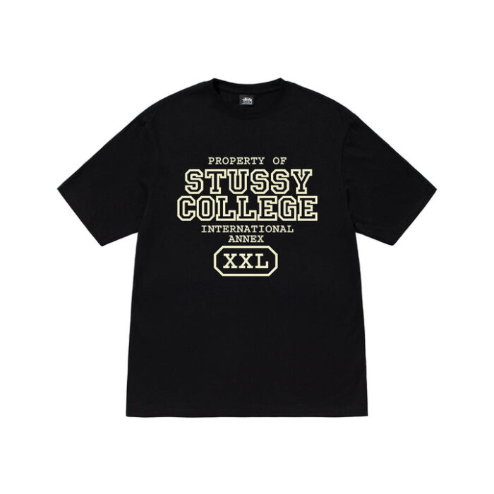 stussy black t-shirt