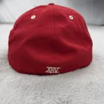 stussy red cap